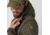 Fjallraven Lappland Hybrid Jacket - Mens, Dark Olive, Small, F90170-633-S