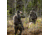 Fjallraven Lappland Hybrid Trousers - Mens, Green Camo-Laurel Green, 58, F90647-626-625-58