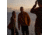 Fjallraven Vardag Jacket - Mens, Acorn, Large, F87006-166-L