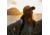 Fjallraven Vardag Langtradarkeps Cap, Buckwheat Brown, Large/Extra large, F78139-232-L/XL