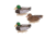 Flambeau Storm Front Classic Mallard Decoys -6 Pack 5001161