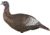 Plano Thunder Chick Decoy Upright Hen, Brown, FG-DCOY-00315