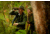 FLIR Systems Scion OTM136 - Thermal Monocular, 320x240, 12um, 60Hz, 13.8mm, Green, 7TM-01-F210