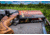 Fort Scott Munitions 6.5 CREEDMOOR 123 Grain Centerfire Rifle Ammo, 20 Rounds, 65CM-123-SCV11