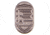Fortis Manufacturing Magazine Release Button Only, FDE, Small, AR15-MB-6061-FDE