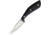 Fox Edge Fixed Blade Pakkawood Knife, 3 satin finish stainless blade, Black pakkawood handle, FE007