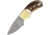 Fox-N-Hound Mini Skinner Damascus Knife, 1.75 Damascus steel blade, Stag bone handle, # 22 / FH121