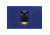 Fox Outdoor 3ft x 5ft Flags, US Air Force, 84-04