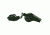 Fox Outdoor Compass/Thermometer Whistle, Olive Drab, 38-310