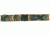 Fox Outdoor Nylon Pistol Belt - Quick Release Buckle, Woodland Camo 099598512408