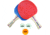 Franklin 2-Player Table Tennis Paddle Set