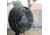 Frigidaire Outdoor Misting Fan/Pedestal Fan, Black, Cools 500 sq ft, FMF2K5BK00
