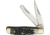 Frost ECS Baby Trapper Folding Knife,Clip and Spey,Black,Jigged Bone Handle FECS086BKJB