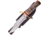 Frost Frost Falcon Bowie Knife, 12in Overall, 7in, Satin Stainless Bowie Blade, Bone/Wood Handle, Leather Sheath, CW-701WW