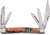 Frost Kentucky Congress Gold Resin E.C. Simmons Folding Knife, Mirror SS Clip, Twin Sheepsfoot, Twin Coping Blades, Gold Resin Handle, ECS-117CG