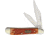 Frost Little Peanut Red Jig Bone Folding Knife, Mirror SS Clip And Pen Blades, Red Jigged Bone Handle, SW-107DRJB