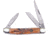 Frost Stockman Gold Resin Crowing Rooster Folding Knife, Mirror SS Clip/Sheepsfoot/Spey Blades, Gold Resin Handle, Nickel Silver Bolster, Inlay Shield, Gold, CR-509CG