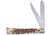 Frost Trapper Honk Falls Folding Knife, Stag bone resin handle, HF-508SBR
