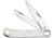 Frost Trapper White Smooth Bone Folding Knife, Mirror SS Clip/ Spey Blades, White Smooth Bone Handle, Nickel Silver Bolster, White, 18-812WSB