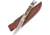 Frost Trophy Stag Small Bowie Fixed Blade Knife, 3.375in, Stag Handle FTS179DS