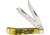 Frost Wild Turkey Trapper Folding Knife,Clip and Spey,Yellow,Jigged Bone Handle FWTC508CCB