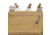 G-Code SYNC Assaulters Placard, Coyote Brown, SYNC014-CB