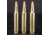 G9 Defense .223 Remington 54 Grain Barrier Blind Hollow Point Brass Cased Rifle Ammo, 20 Rounds, B-223-54A