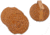 Galco Coaster Set Usmc, Natural, SH824