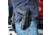 Galco Halo Sig-Sauer M18/ Sig-Sauer M18 W/Red Dot/ Sig-Sauer P320 Compact 9/.40 OWB Belt Holster