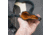 Galco Masterbilt Dual Defense Rig Premium Steerhide Shoulder Holster