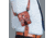 Galco Tie Down for Ammo Side STD