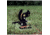 Gamo Air Rifles Squirrel Field Target For Use With Lead Pellets Only