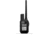 Garmin Alpha10 Handheld, 010-02290-50