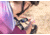 Garmin Edge 1040 Device, Black, 010-02503-00