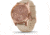 Garmin Vivomove 3 Luxe Hybrid Smartwatch w/Leather Band, Rose Gold/Light Sand, 010-02241-01