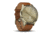 Garmin Vivomove HR, ENG, Premium, Gold/Gold, Small/Medium, 010-01850-15