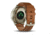 Garmin Vivomove HR, ENG, Premium, Gold/Gold, Small/Medium, 010-01850-15