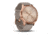 Garmin Vivomove HR, ENG, Premium, Rose Gold/Gray, One Size, 010-01850-19