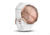 Garmin Vivomove HR, ENG, Sport, Rose Gold/White, Small/Medium 010-01850-12