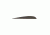 Gateway Feathers, Black 4 in. LW 100 pk. 400LPSBK-100