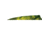 Gateway Shield Cut Feathers 1407007, Yellow, 400LSTYL-50