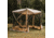 Gazelle G5 5-Sided Portable Gazebo, GG502DS, Desert Sand, 4-Person, GG502DS