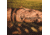 Gazelle G6 Deluxe 6-Sided Portable Gazebo Pop-Up Hub Screen Tent, Badlands Brown, 8-Person, GG610BR
