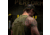 GBRS Group Anniversary Edition Instructor Tank - Mens