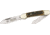 German Eye Canoe Folding Knife,Solingen Spear and Pen Blade, Genuine Stag Handle GEBB