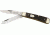German Eye Mini Trapper Folding Knife,Clip and Spey Blade, Black Jigged Bone Handle GEBJB
