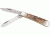 German Eye Mini Trapper Folding Knife,Clip and Spey Blade, Genuine Deer Stag Handle GEBJDS