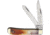 German Eye Slim Trapper Folding Knife, Mirror SS Clip/ Spey Blades, Brown Smooth Bone Handle, Nickel Silver Bolster, Inlay Shield, Blade Etching, Brown, 20 BROWN BONE