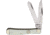 German Eye Slim Trapper White Bone Folding Knife, Mirror SS Clip/ Spey Blades, White Smooth Bone Handle, Nickel Silver Bolster, Inlay Shield, Blade Etching, White, 20 WHITE BONE