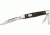 German Eye Whittler Folding Knife,Clip/Pen/Coping Blade, Jigged Bone Handle GESC
